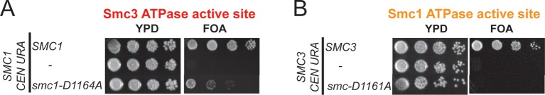 Figure 6—figure supplement 2.