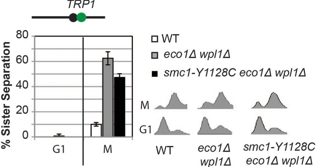 Figure 3—figure supplement 2.