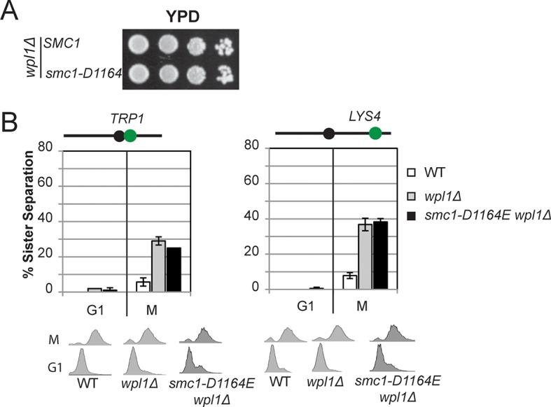 Figure 3—figure supplement 5.