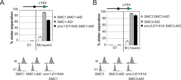 Figure 6—figure supplement 4.