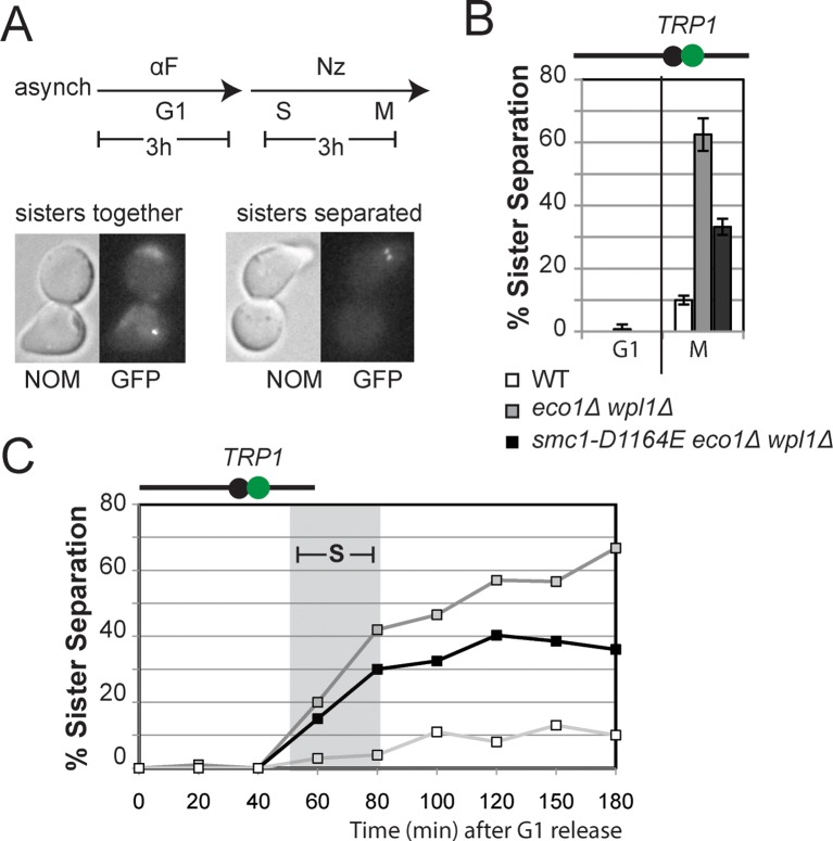 Figure 3.