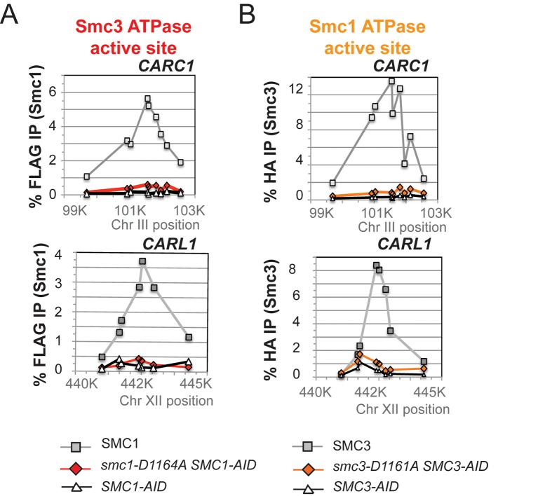 Figure 7—figure supplement 1.