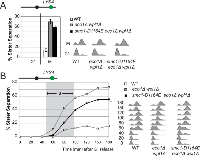 Figure 3—figure supplement 3.