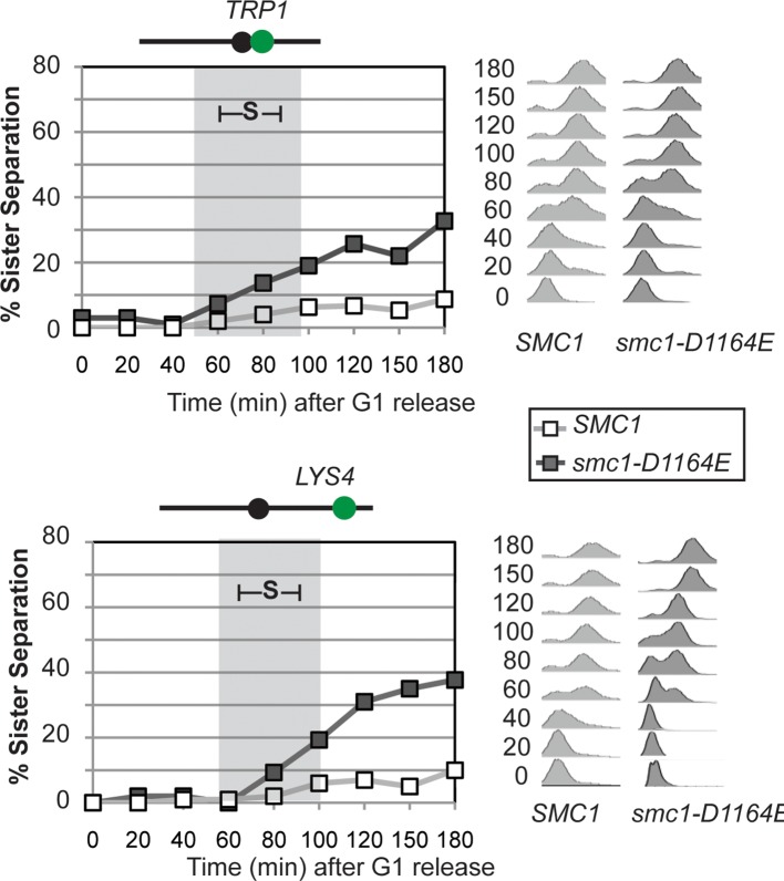 Figure 4—figure supplement 2.