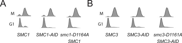 Figure 6—figure supplement 3.