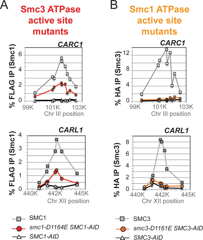 Figure 5—figure supplement 1.