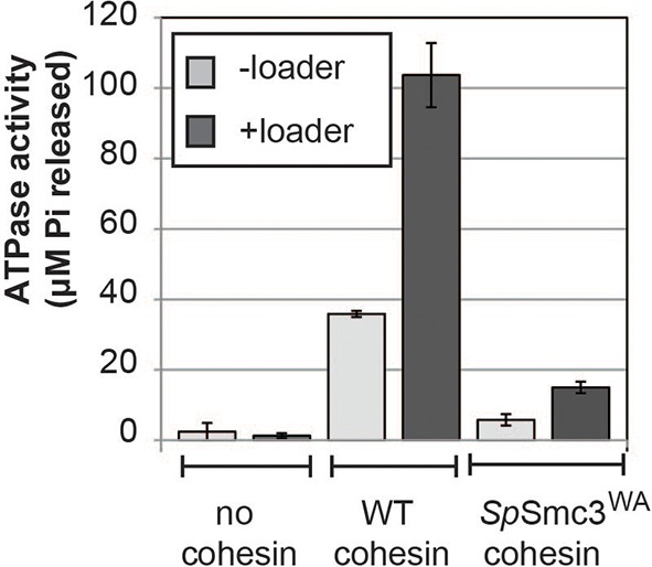 Figure 1—figure supplement 1.