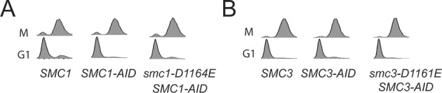 Figure 4—figure supplement 5.