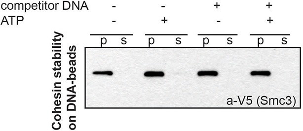 Figure 1—figure supplement 3.