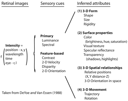 graphic file with name nihms115116f7.jpg