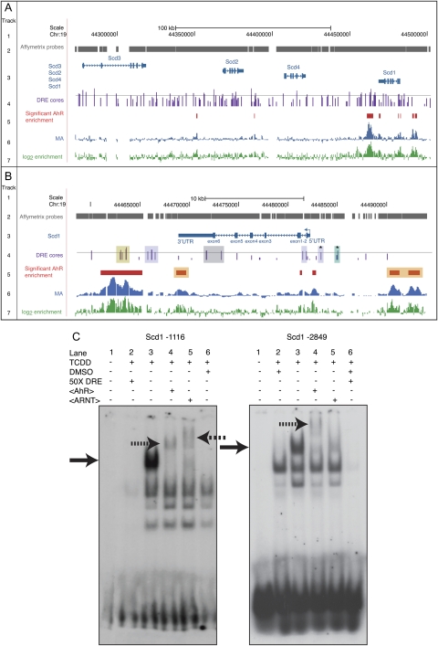 FIG. 6.