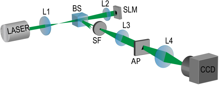 Figure 5