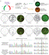 Extended Data Figure 2.