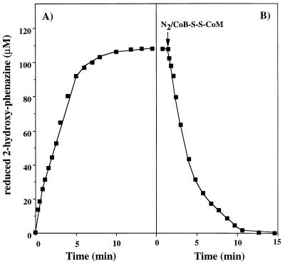 FIG. 5