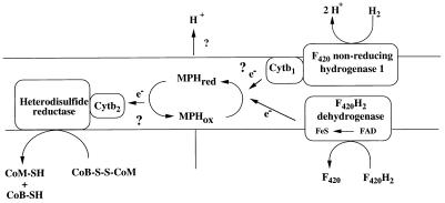 FIG. 6