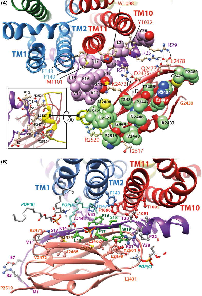 Fig. 9