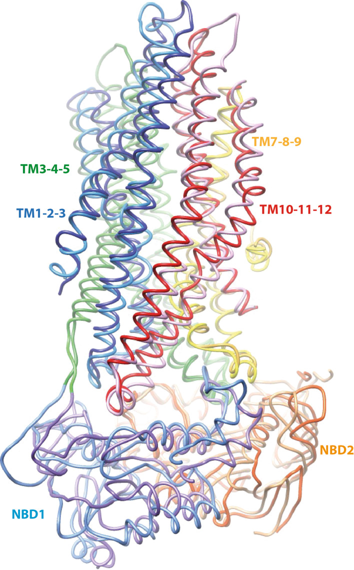 Fig. 2