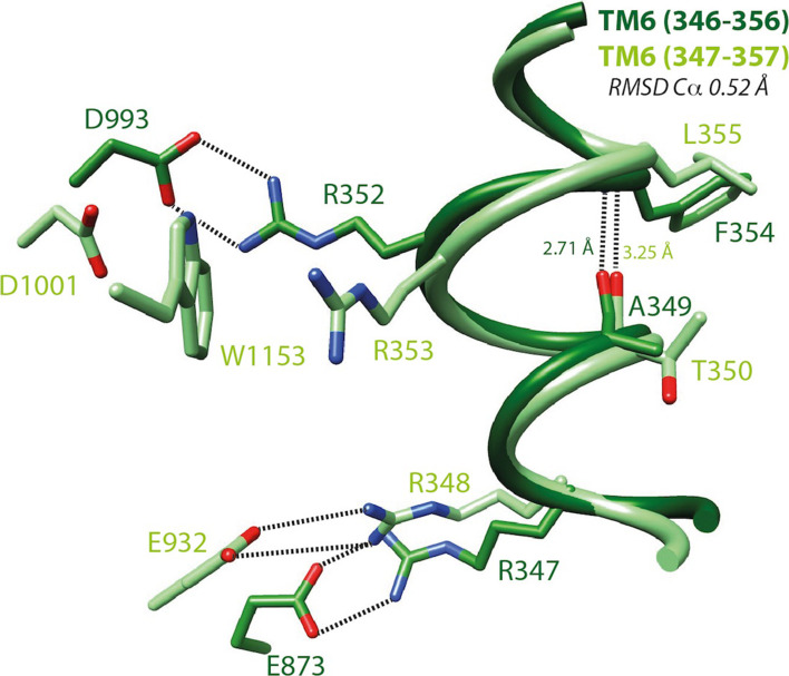 Fig. 4