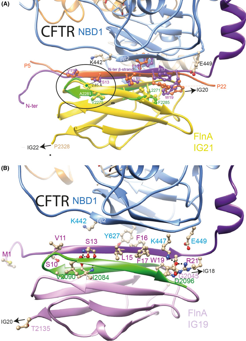 Fig. 10