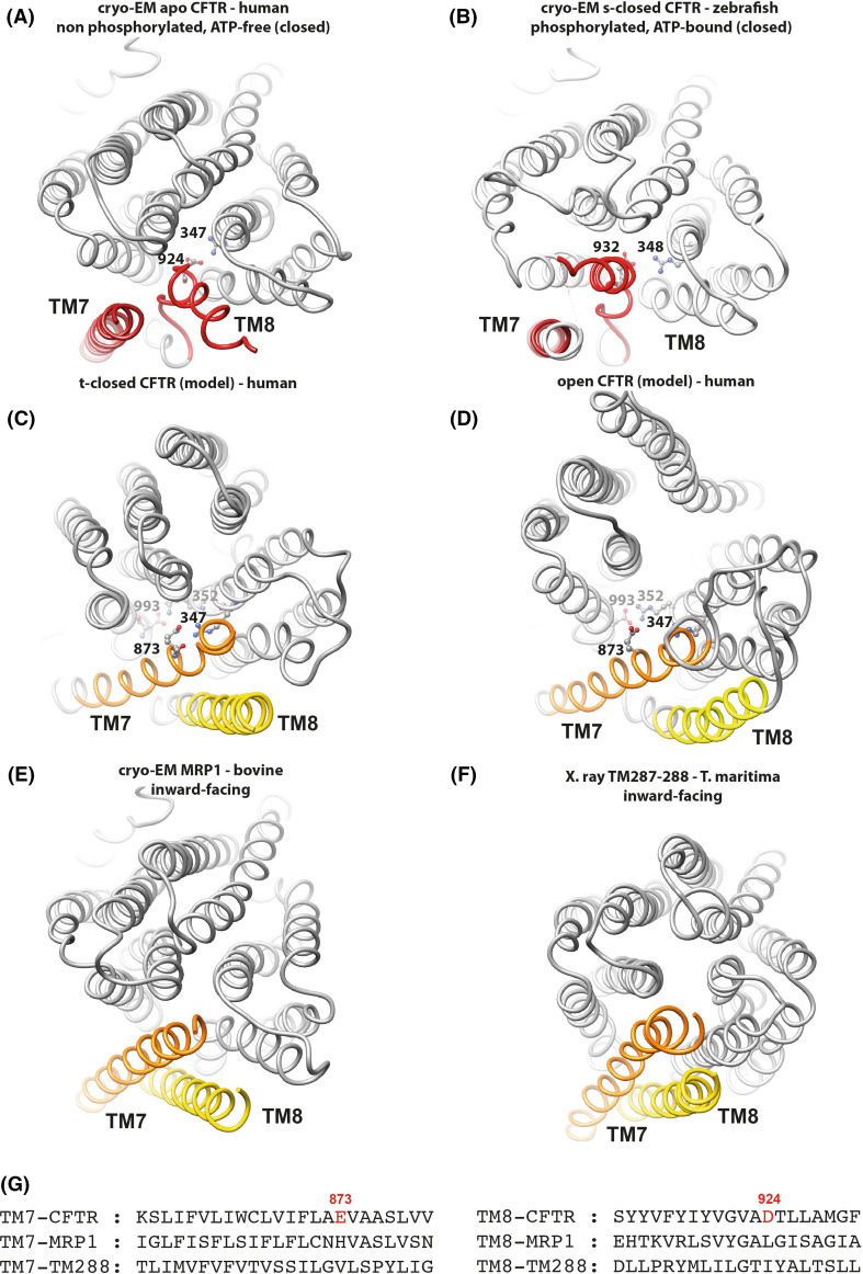 Fig. 6