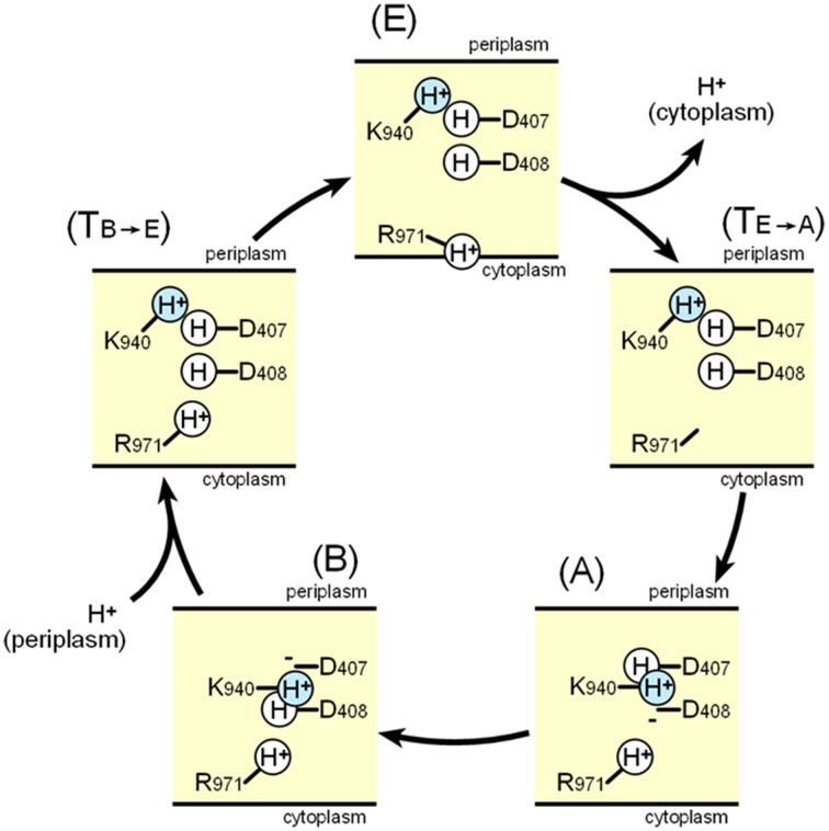 Figure 12