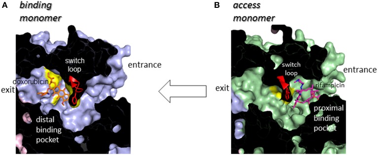 Figure 7