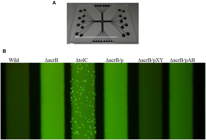 Figure 9