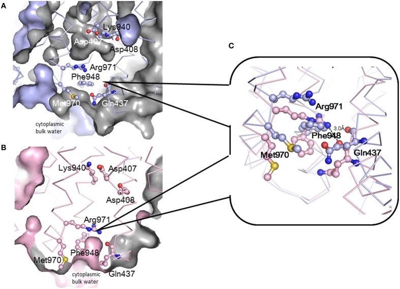 Figure 11