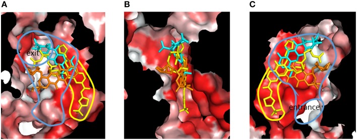 Figure 14