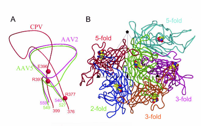 FIG. 7.