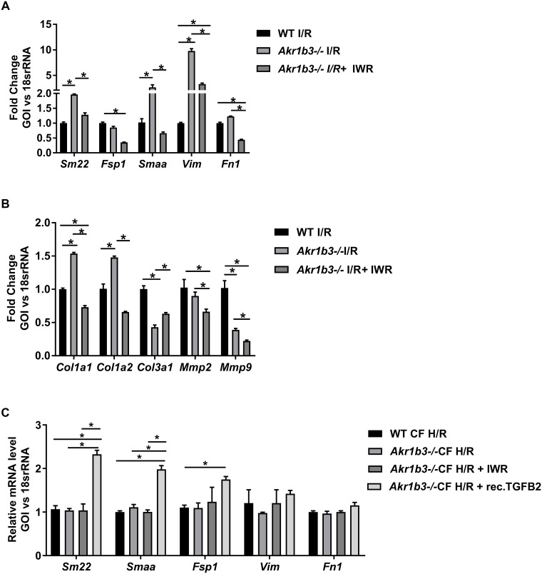 Fig 6