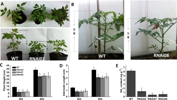 FIGURE 3