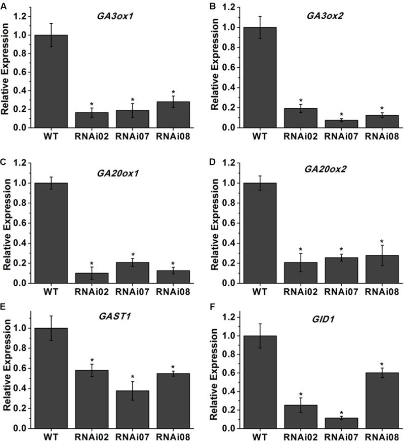 FIGURE 4