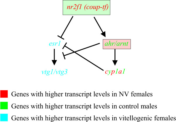 Figure 10