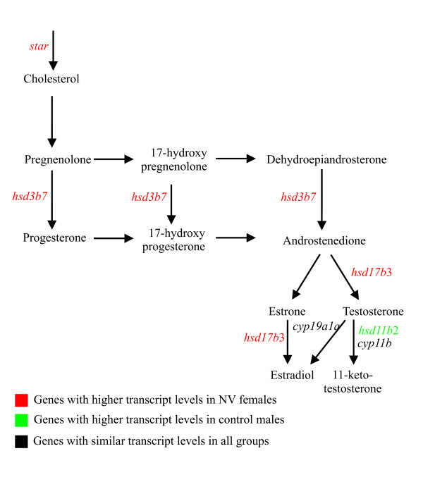 Figure 9