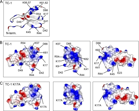 FIGURE 2.