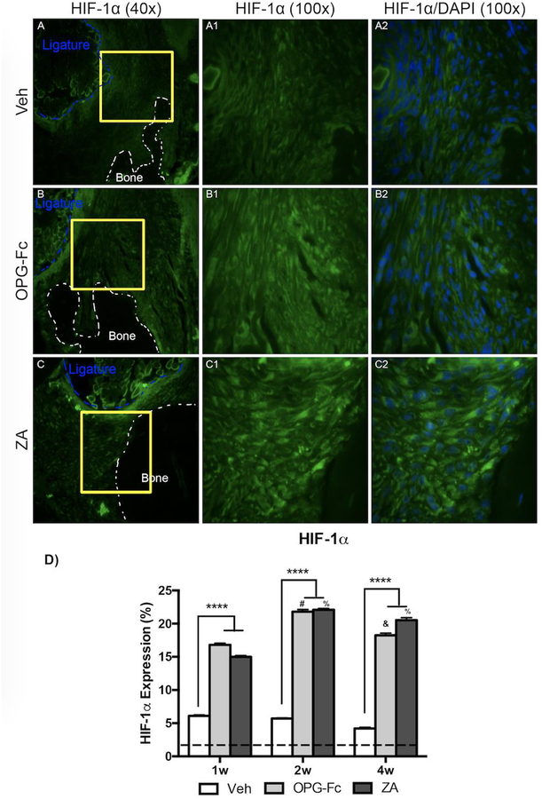 Figure 6: