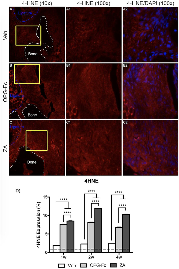 Figure 7: