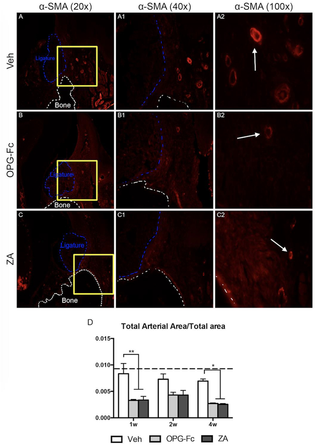 Figure 2: