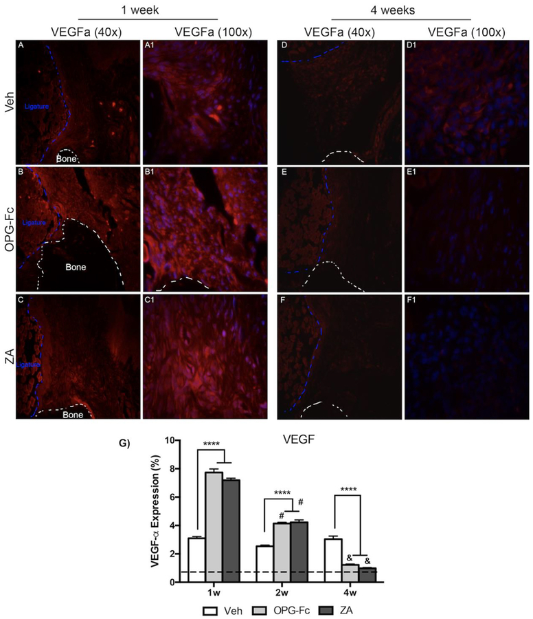 Figure 4: