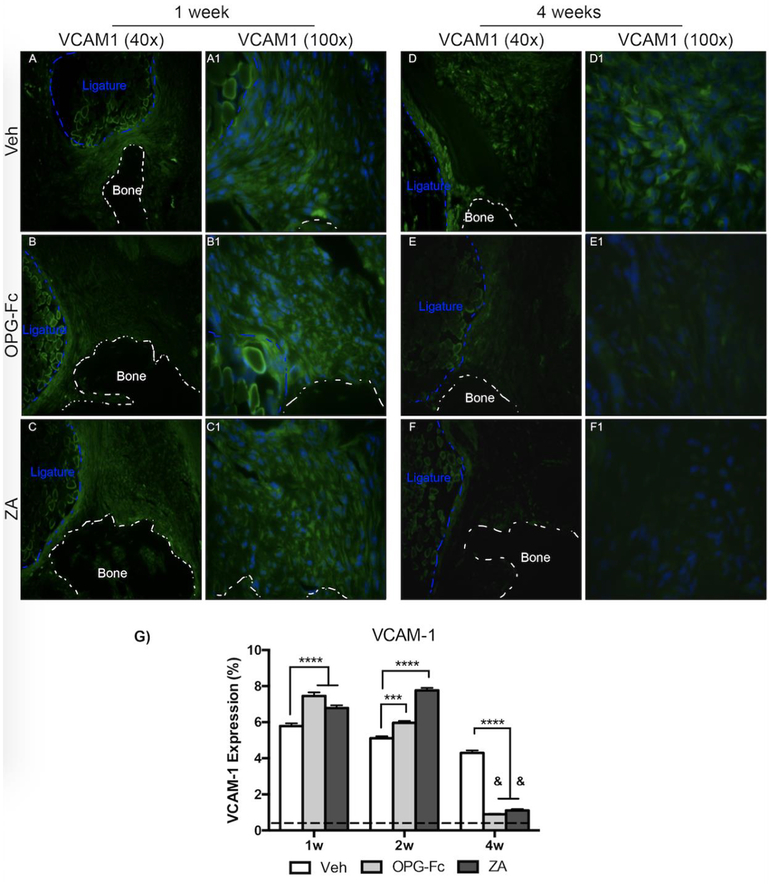 Figure 5: