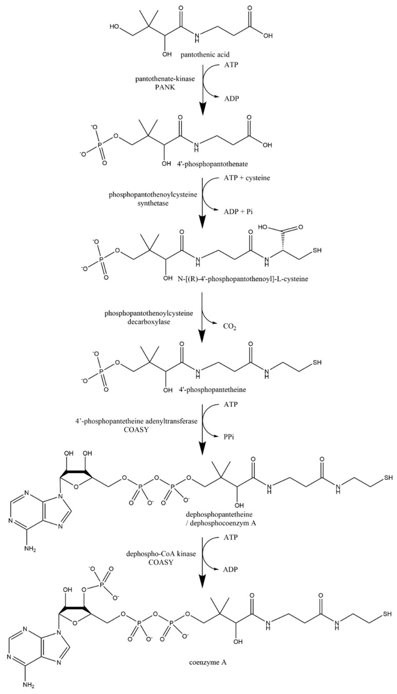 Figure 16