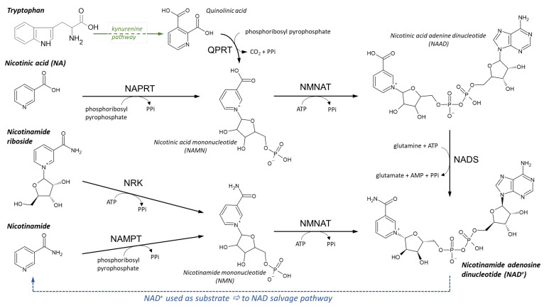 Figure 10