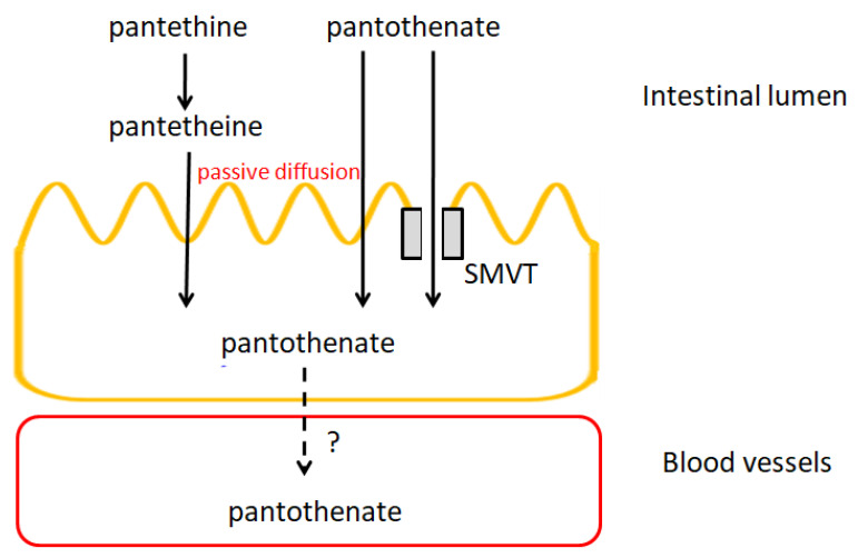 Figure 15