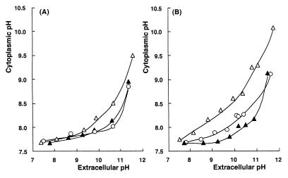 FIG. 7