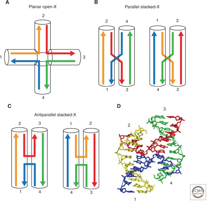 Figure 2.