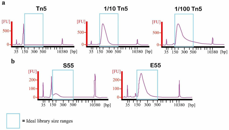 Figure 7. 