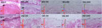 Fig 8