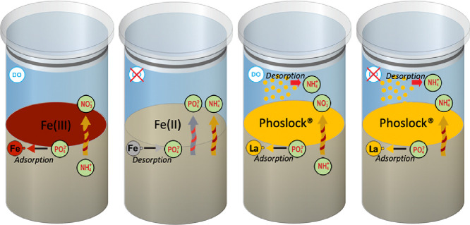 Image, graphical abstract