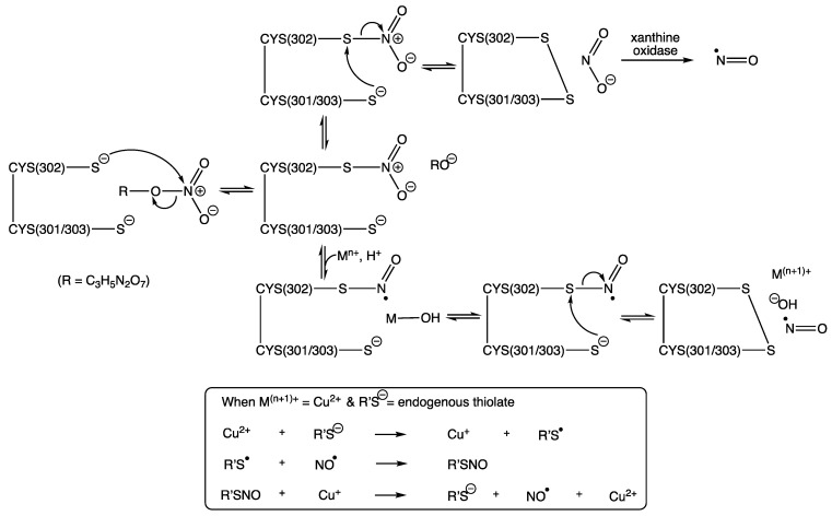 Scheme 1